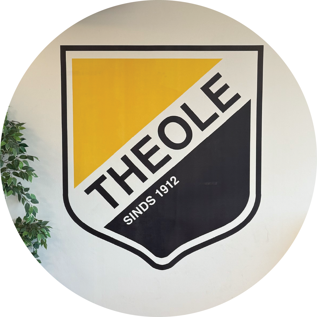 Muurprint van het clublogo van voetbalclub Theole